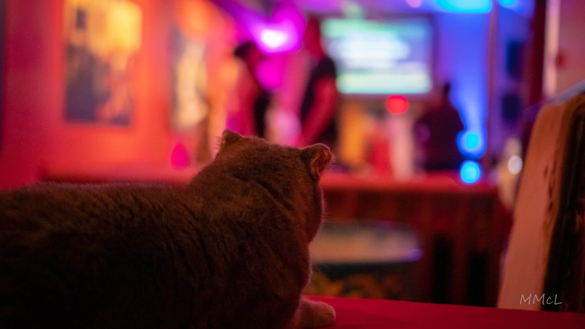 In-Person Events